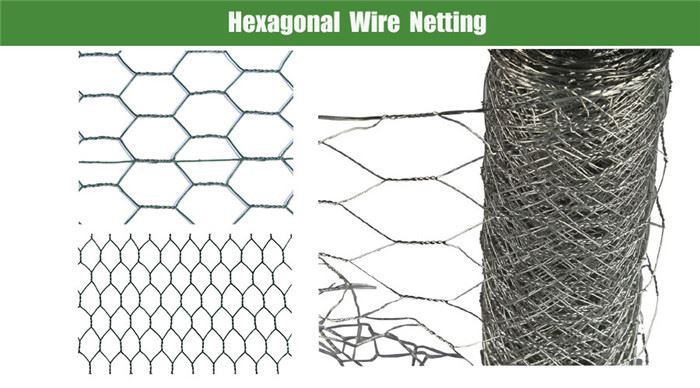 PVC Coated Hexagonal Wire Mesh