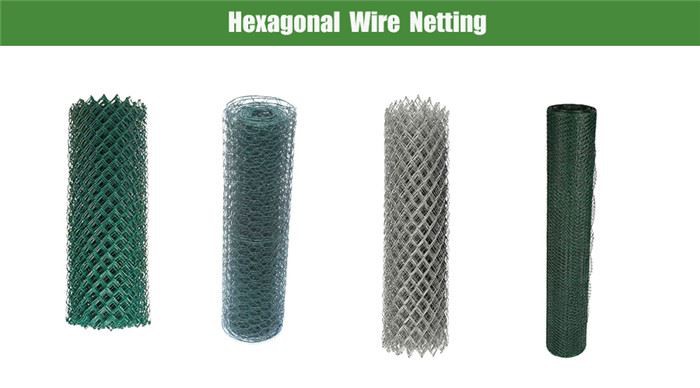 PVC Coated Hexagonal Wire Mesh