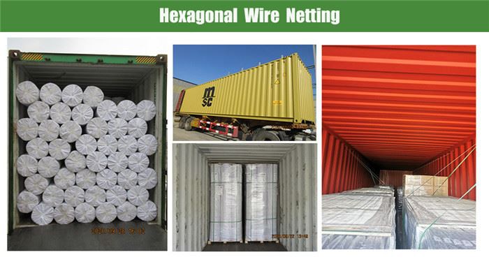 PVC Coated Hexagonal Wire Mesh