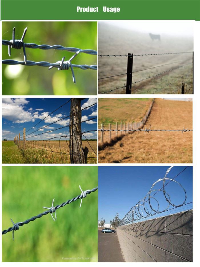 Military Razor Wire