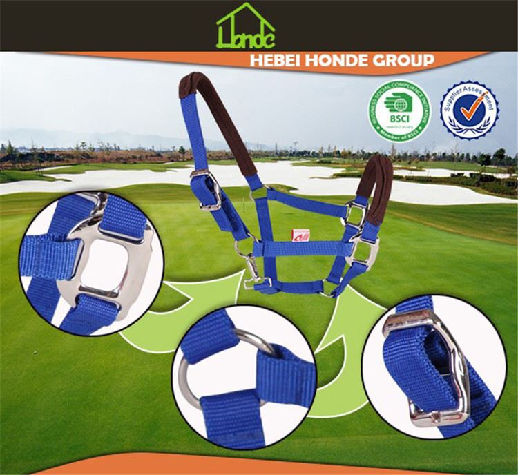Horse Halters01