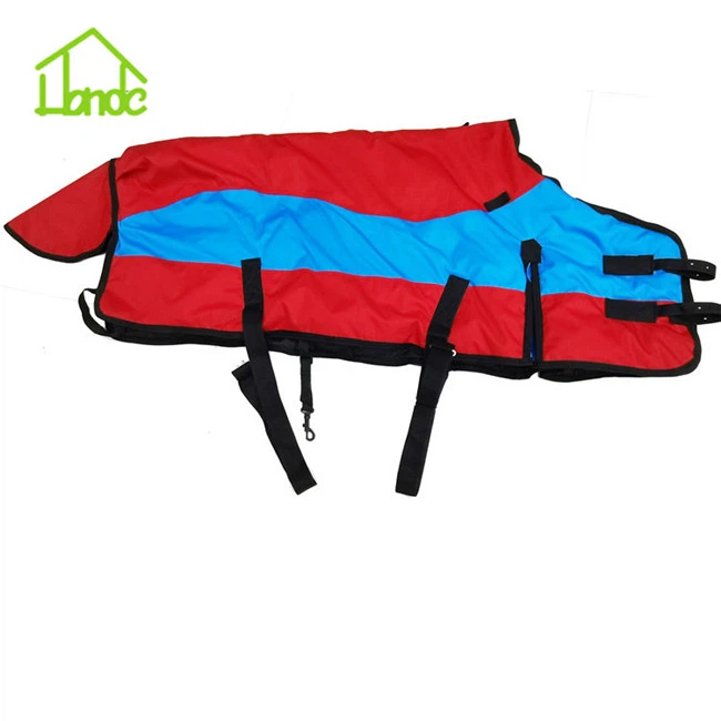 horse rug31 horse rug31