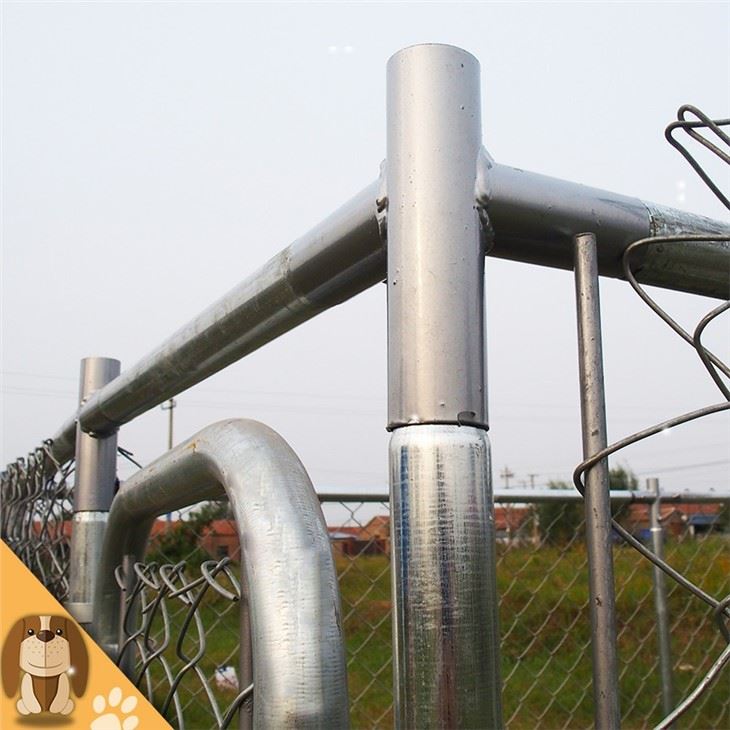 Safe Chain Link Dog Fence