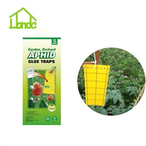 Perangkap Lem Aphid Glue Trap Fly Catcher