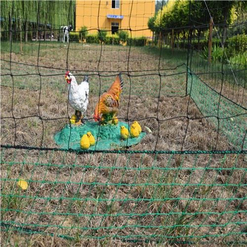 Jaring Chook Dalam Plastik