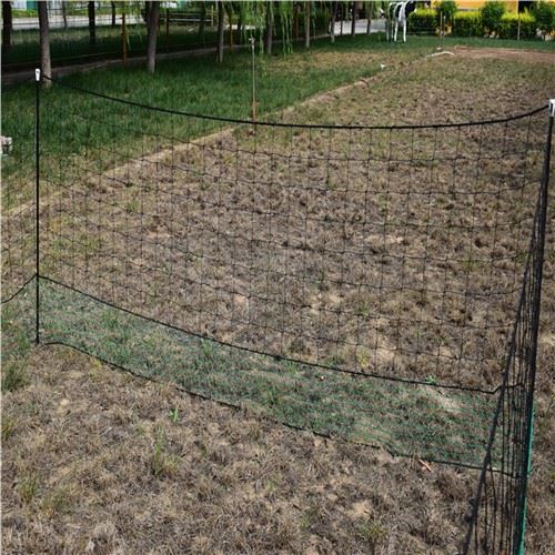 Telaga Jaring Ayam Plastik Mudah Alih