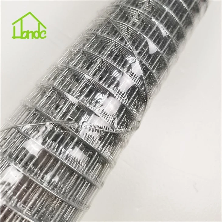 1m*2.5m Pet /Animal /Poultry /Farm Welding Wire Mesh